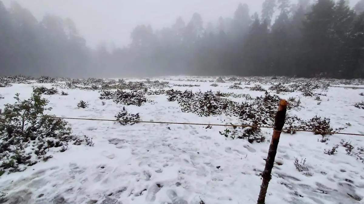 Nieve en sierra chinicua